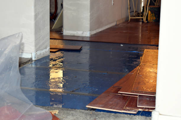 Professional Sewage Cleanup technician working in Albin, WY