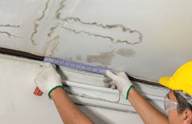 Reliable Sewage Cleanup contractor in Albin, WY by Water Damage Irwin